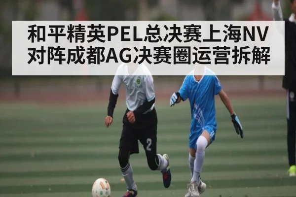 和平精英PEL总决赛上海NV对阵成都AG决赛圈运营拆解